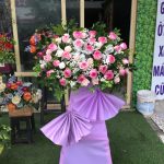 Hoa khai trương KT21