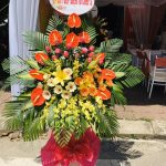 Hoa khai trương KT20